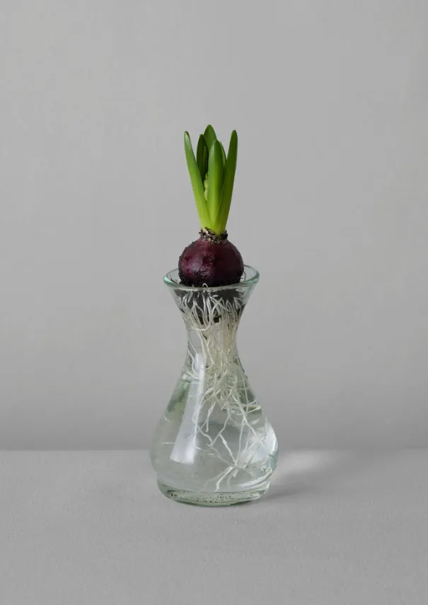 Sale Hand Blown Polonaise Vase Glass|Decorative Pieces