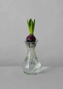 Sale Hand Blown Polonaise Vase Glass|Decorative Pieces